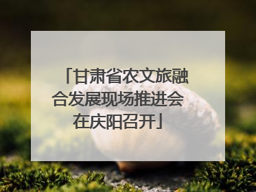 甘肃省农文旅融合发展现场推进会在庆阳召开