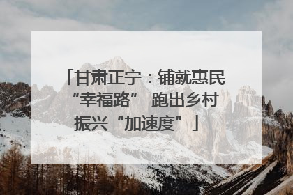 甘肃正宁：铺就惠民“幸福路” 跑出乡村振兴“加速度”