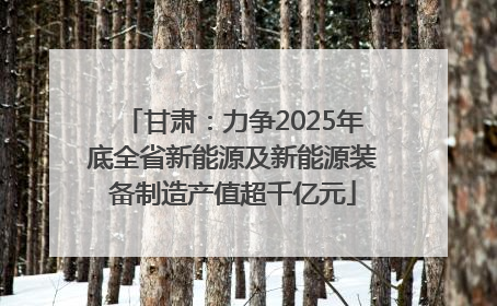 甘肃：力争2025年底全省新能源及新能源装备制造产值超千亿元