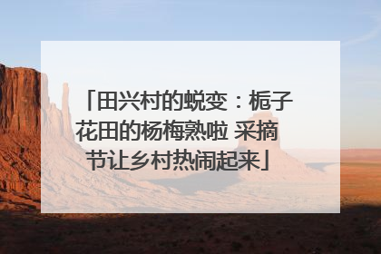 田兴村的蜕变：栀子花田的杨梅熟啦 采摘节让乡村热闹起来