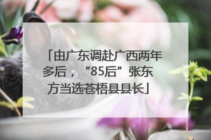 由广东调赴广西两年多后，“85后”张东方当选苍梧县县长