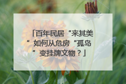 百年民居“来其美”如何从危房“孤岛”变挂牌文物？