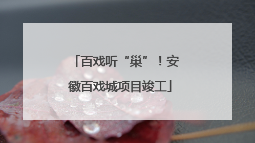 百戏听“巢”！安徽百戏城项目竣工