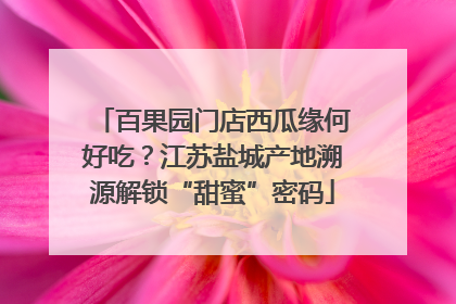 百果园门店西瓜缘何好吃？江苏盐城产地溯源解锁“甜蜜”密码