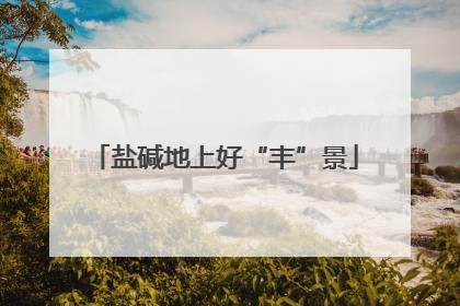 盐碱地上好“丰”景