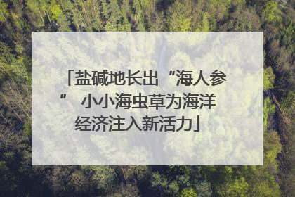 盐碱地长出“海人参” 小小海虫草为海洋经济注入新活力