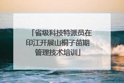 省级科技特派员在印江开展山桐子苗期管理技术培训