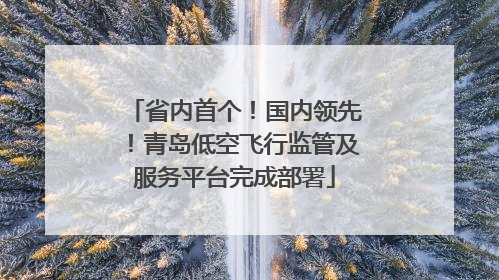 省内首个！国内领先！青岛低空飞行监管及服务平台完成部署