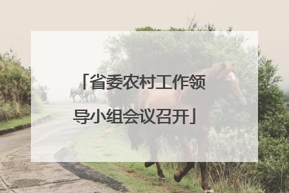省委农村工作领导小组会议召开