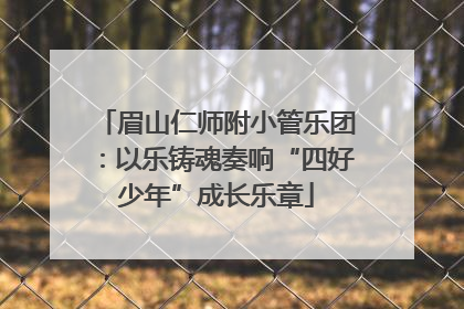 眉山仁师附小管乐团：以乐铸魂奏响“四好少年”成长乐章