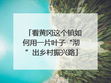 看黄冈这个镇如何用一片叶子“沏”出乡村振兴路