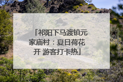 祁阳下马渡镇元家庙村：夏日荷花开 游客打卡热
