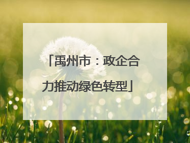 禹州市：政企合力推动绿色转型