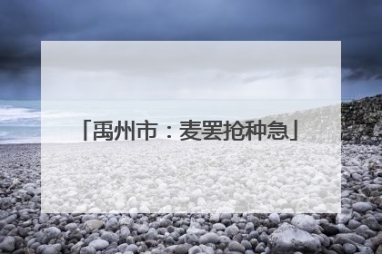 禹州市：麦罢抢种急