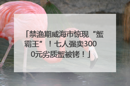 禁渔期威海市惊现“蟹霸王”！七人强卖3000元劣质蟹被铐！