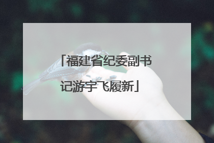 福建省纪委副书记游宇飞履新