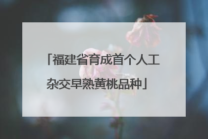 福建省育成首个人工杂交早熟黄桃品种