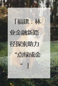 福建：林业金融新路径探索助力“点绿成金”