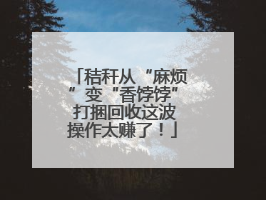 秸秆从“麻烦”变“香饽饽” 打捆回收这波操作太赚了！