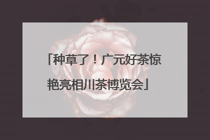 种草了！广元好茶惊艳亮相川茶博览会