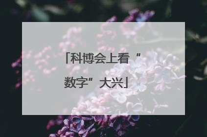 科博会上看“数字”大兴