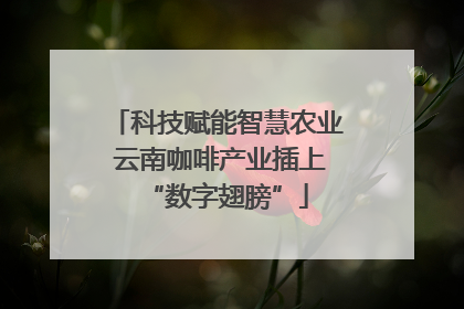 科技赋能智慧农业 云南咖啡产业插上“数字翅膀”