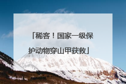 稀客！国家一级保护动物穿山甲获救