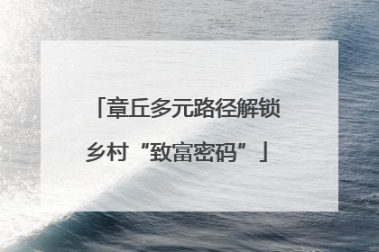 章丘多元路径解锁乡村“致富密码”