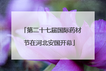 第二十七届国际药材节在河北安国开幕
