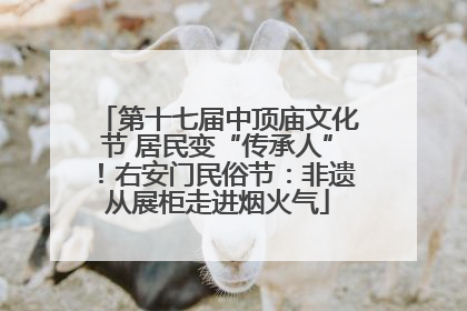 第十七届中顶庙文化节 居民变“传承人”！右安门民俗节：非遗从展柜走进烟火气