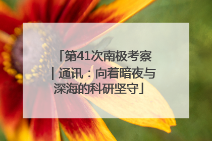 第41次南极考察｜通讯：向着暗夜与深海的科研坚守