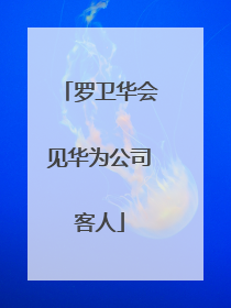 罗卫华会见华为公司客人