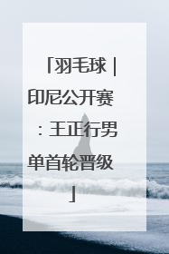 羽毛球｜印尼公开赛：王正行男单首轮晋级