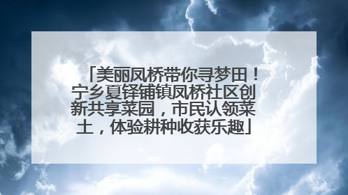 美丽凤桥带你寻梦田！宁乡夏铎铺镇凤桥社区创新共享菜园，市民认领菜土，体验耕种收获乐趣