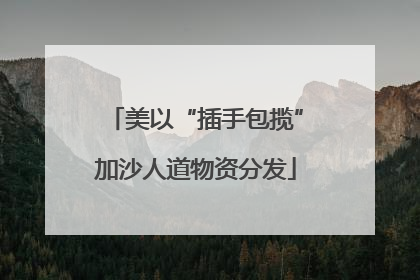 美以“插手包揽”加沙人道物资分发