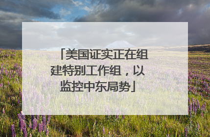 美国证实正在组建特别工作组，以监控中东局势