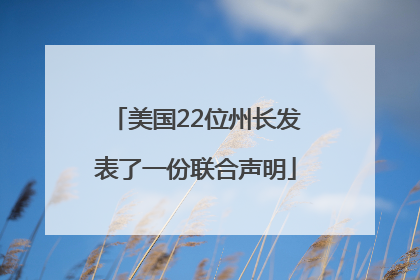 美国22位州长发表了一份联合声明
