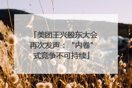 美团王兴股东大会再次发声：“内卷”式竞争不可持续