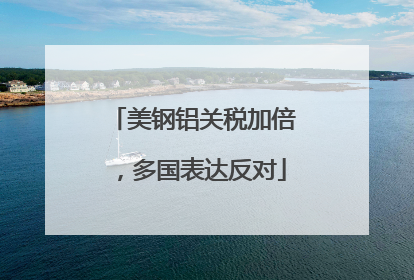 美钢铝关税加倍，多国表达反对