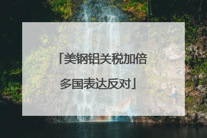 美钢铝关税加倍 多国表达反对