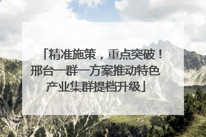 精准施策，重点突破！邢台一群一方案推动特色产业集群提档升级