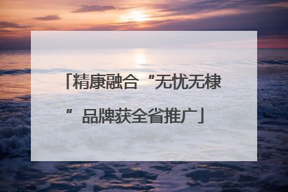精康融合“无忧无棣”品牌获全省推广