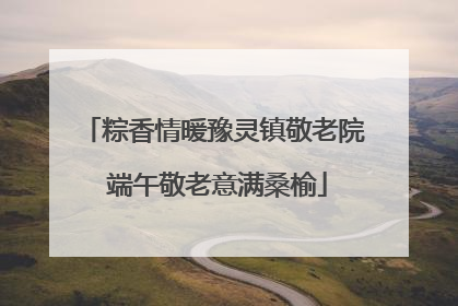 粽香情暖豫灵镇敬老院 端午敬老意满桑榆