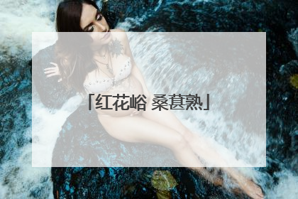 红花峪 桑葚熟