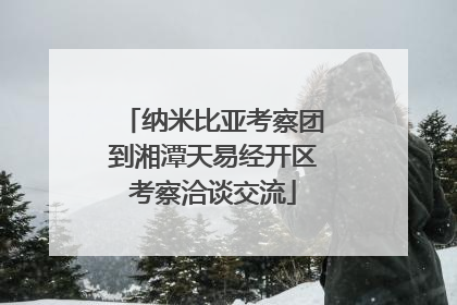 纳米比亚考察团到湘潭天易经开区考察洽谈交流