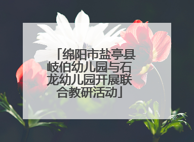 绵阳市盐亭县岐伯幼儿园与石龙幼儿园开展联合教研活动