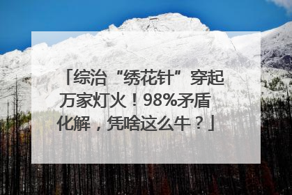 综治“绣花针”穿起万家灯火！98%矛盾化解，凭啥这么牛？