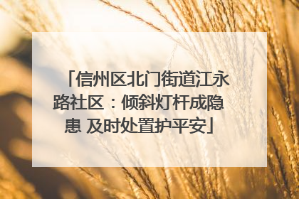 信州区北门街道江永路社区：倾斜灯杆成隐患 及时处置护平安