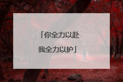 你全力以赴 我全力以护