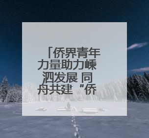 侨界青年力量助力嵊泗发展 同舟共建“侨爱岛”